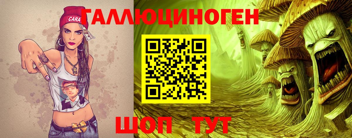 Моздок  Псилоцибиновые грибы Cubensis  Вход с VPN 