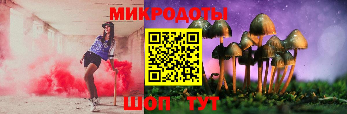Галлюциногенные грибы Psilocybe Моздок